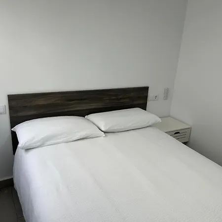 Vacaciones 托雷维耶哈